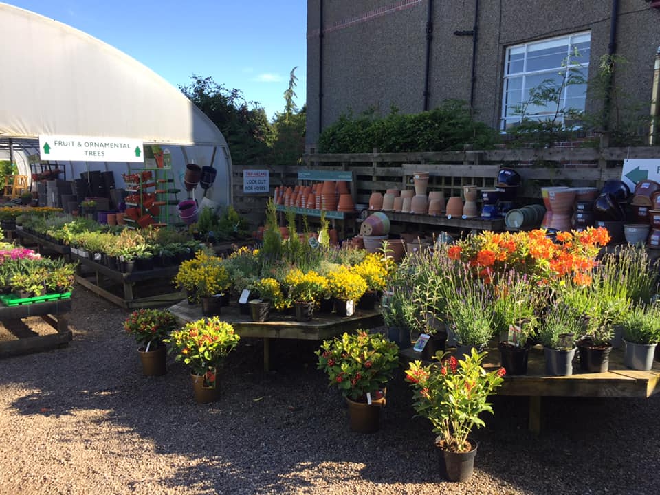 102315742_1643507525809087_4119655947977097216_n