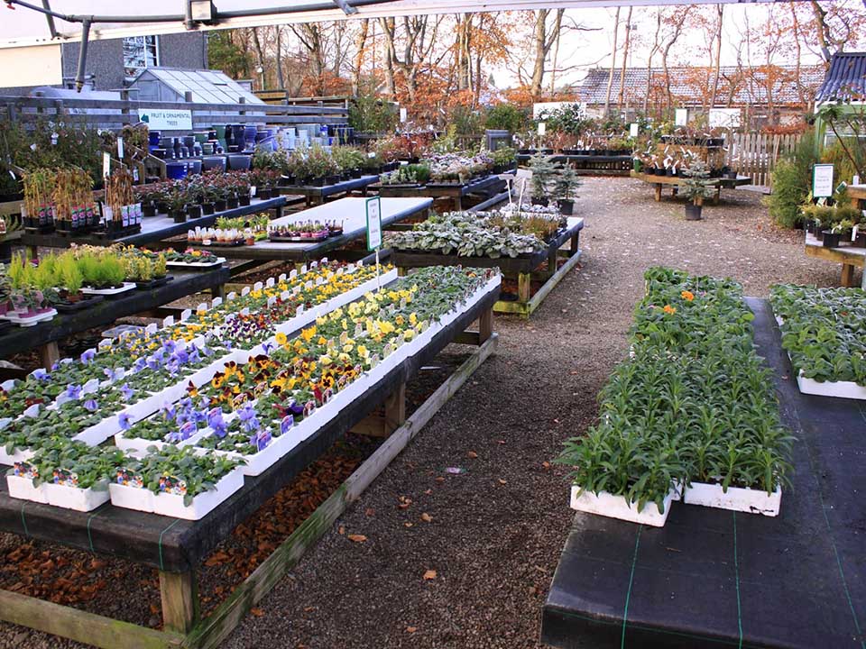 24068569_911226842370496_6343718816391024_o1